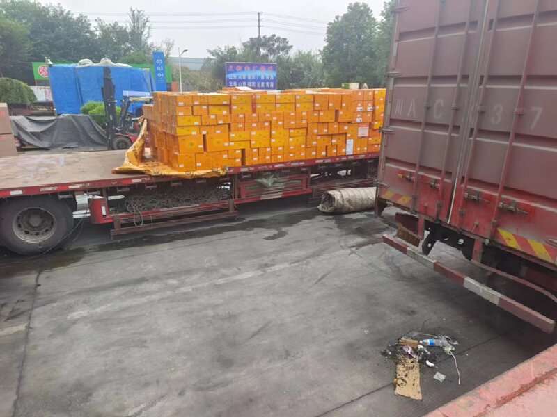 蘇州至壽寧物流公司